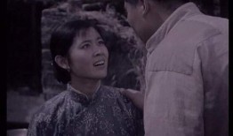 电影山菊花在线观看,烽火岁月里的青春赞歌