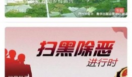 飞鹤最新爆料新闻消息视频,揭秘视频背后的惊人真相